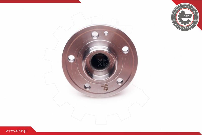 ESEN SKV Radlagersatz