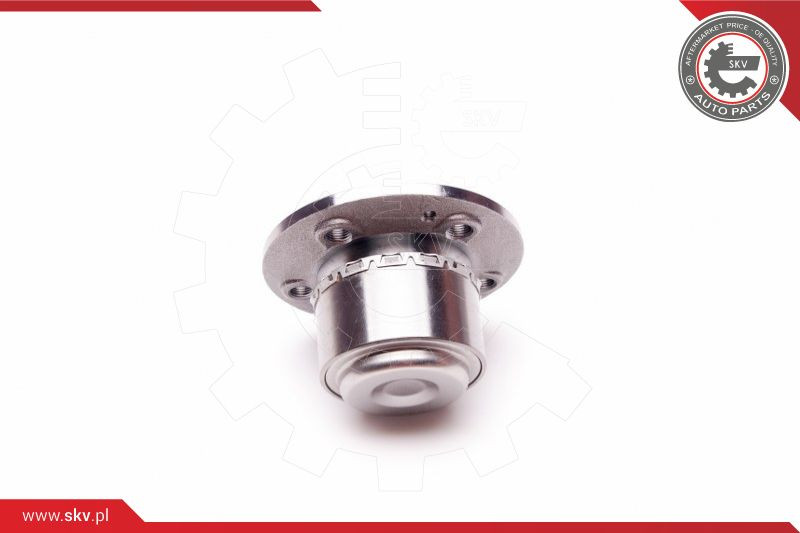 ESEN SKV Radlagersatz