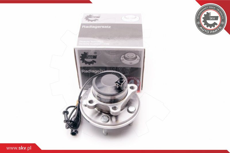 ESEN SKV Radlagersatz