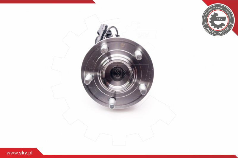 ESEN SKV Radlagersatz
