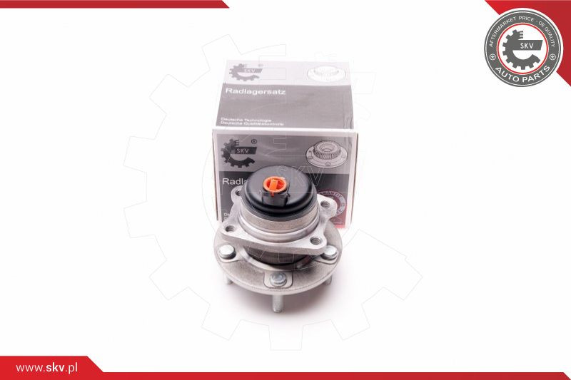 ESEN SKV Radlagersatz