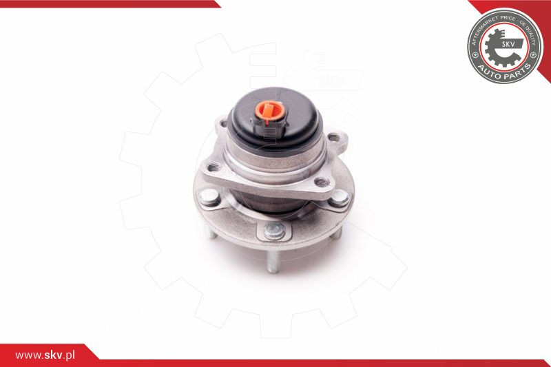 ESEN SKV Radlagersatz