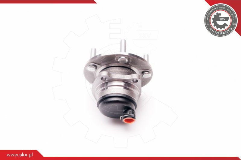 ESEN SKV Radlagersatz