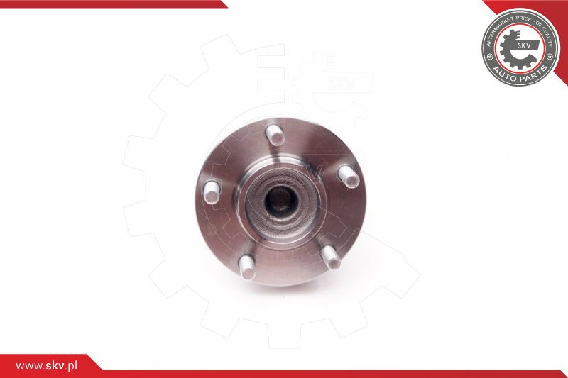 ESEN SKV Radlagersatz