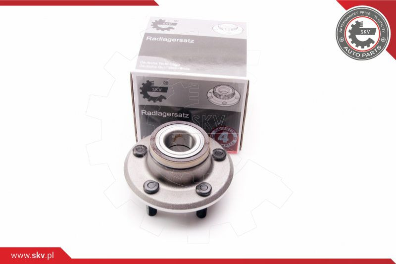 ESEN SKV Radlagersatz