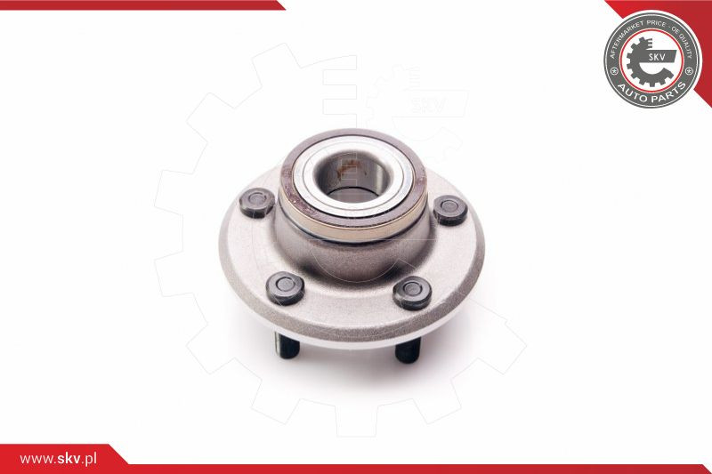 ESEN SKV Radlagersatz