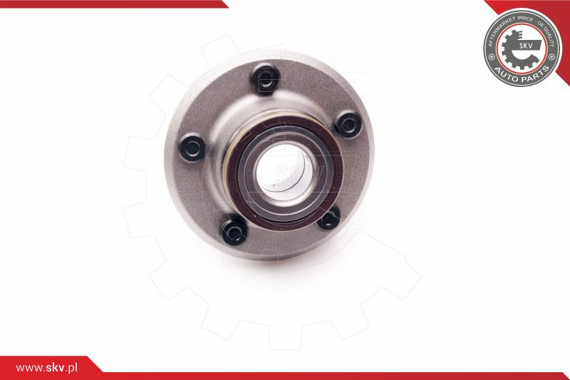 ESEN SKV Radlagersatz