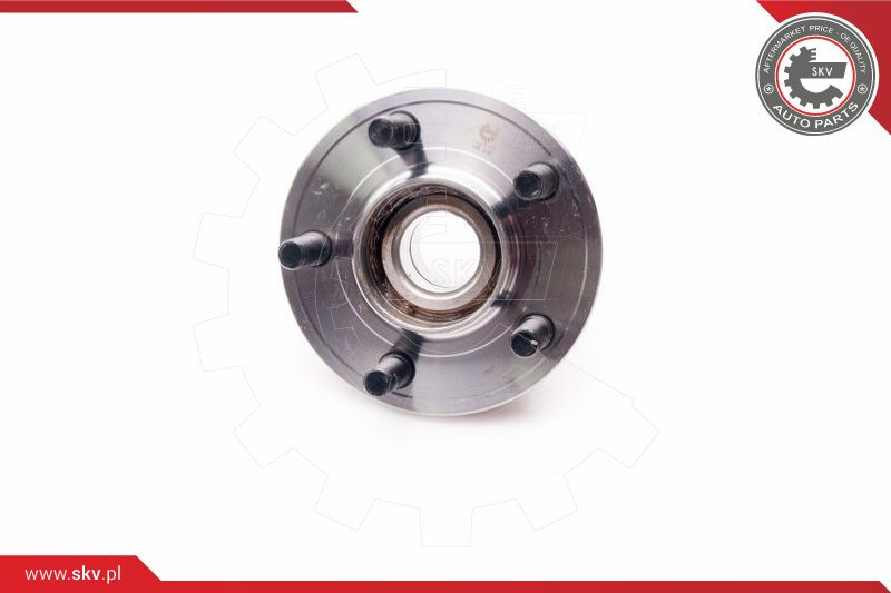 ESEN SKV Radlagersatz