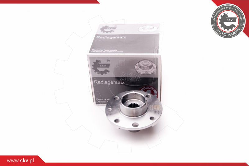 ESEN SKV Radlagersatz