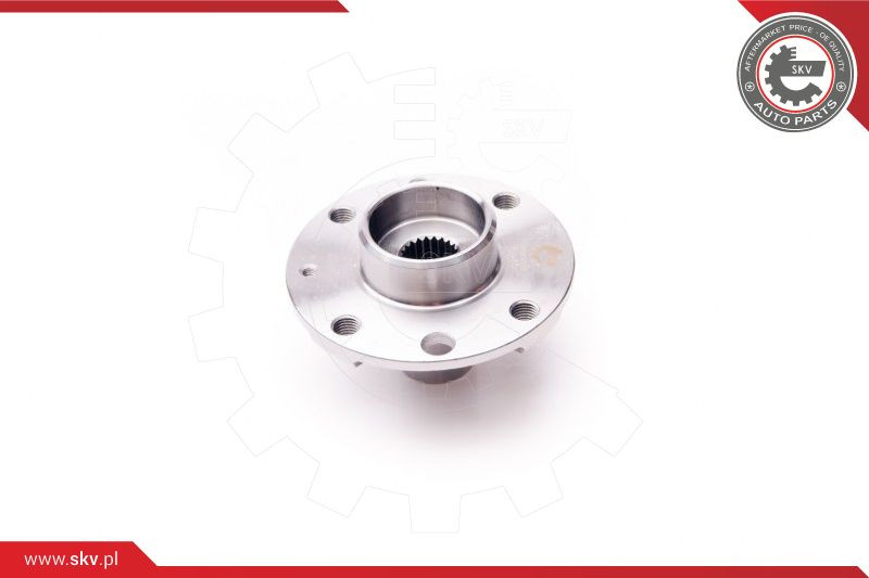 ESEN SKV Radlagersatz