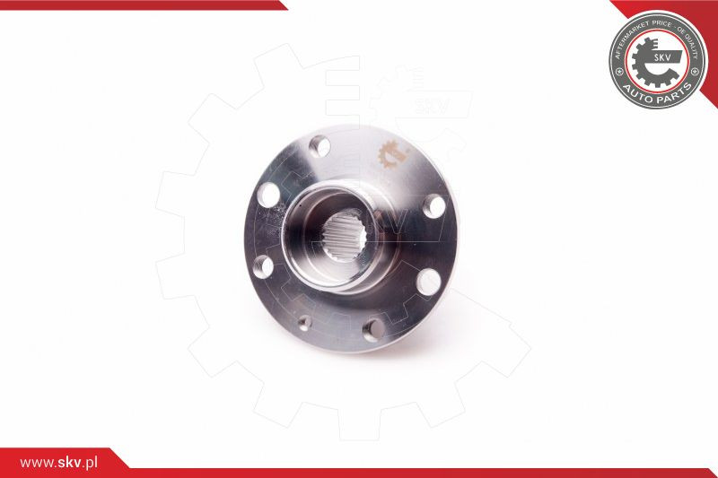 ESEN SKV Radlagersatz