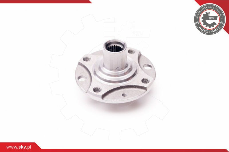 ESEN SKV Radlagersatz