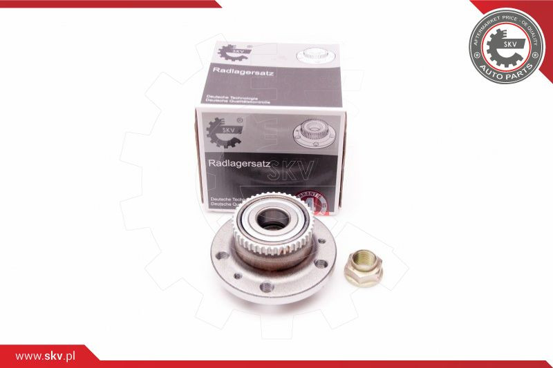 ESEN SKV Radlagersatz