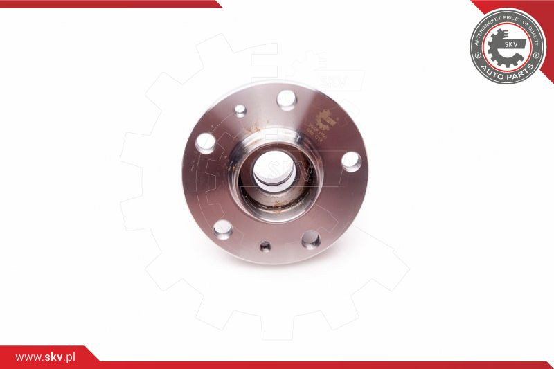 ESEN SKV Radlagersatz