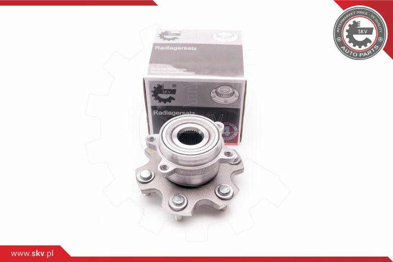 ESEN SKV Radlagersatz