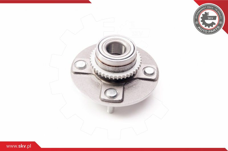 ESEN SKV Radlagersatz