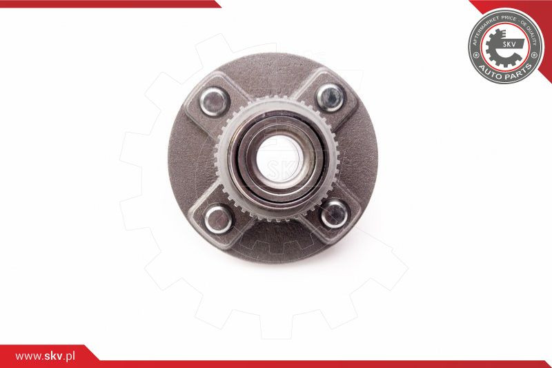 ESEN SKV Radlagersatz