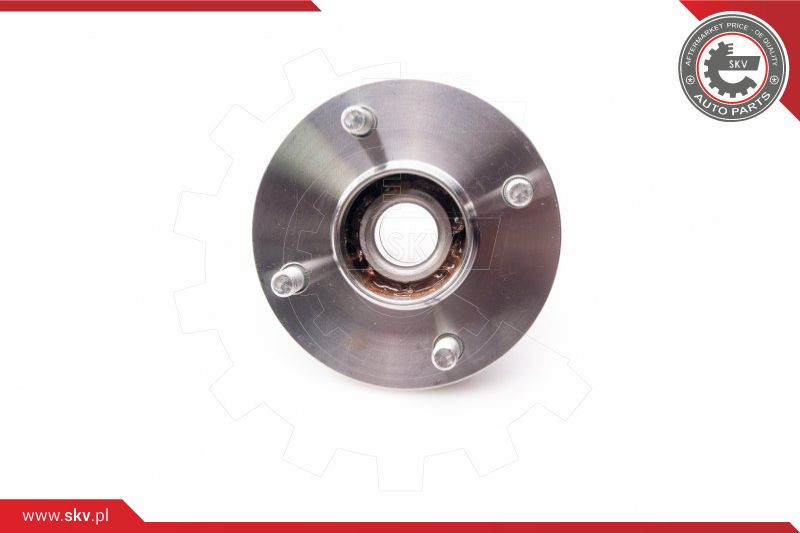 ESEN SKV Radlagersatz