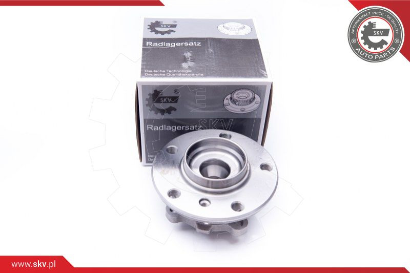 ESEN SKV Radlagersatz