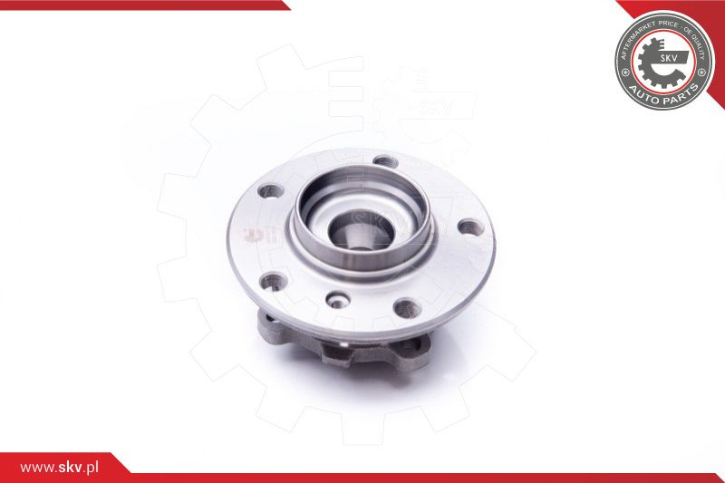 ESEN SKV Radlagersatz