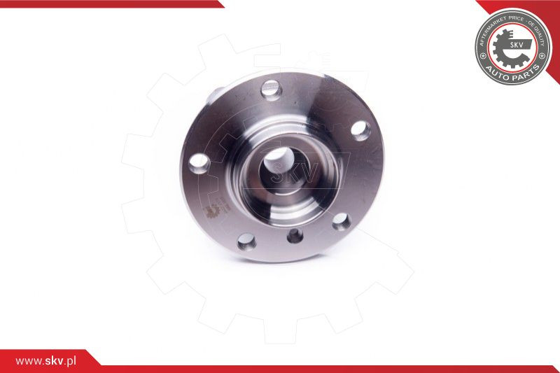 ESEN SKV Radlagersatz