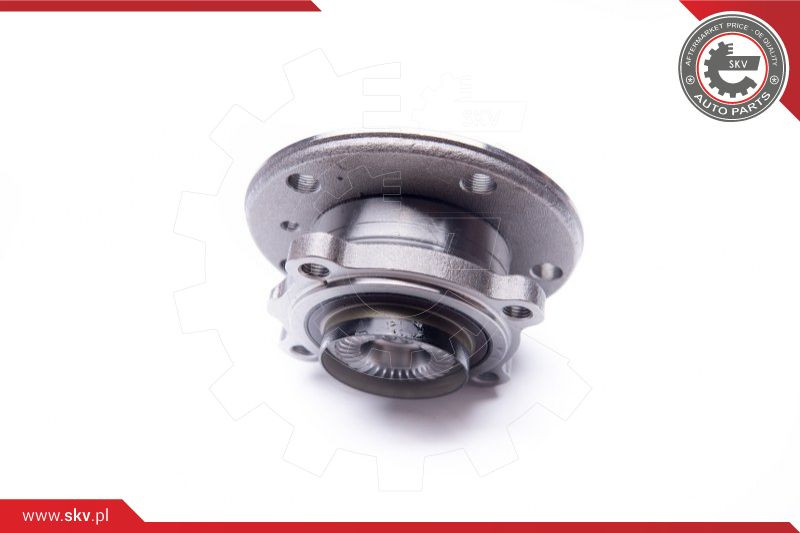 ESEN SKV Radlagersatz