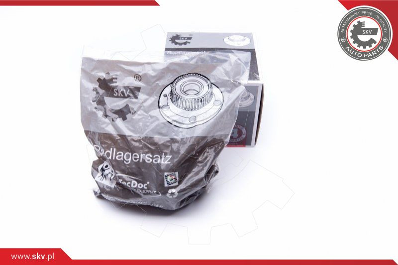 ESEN SKV Radlagersatz