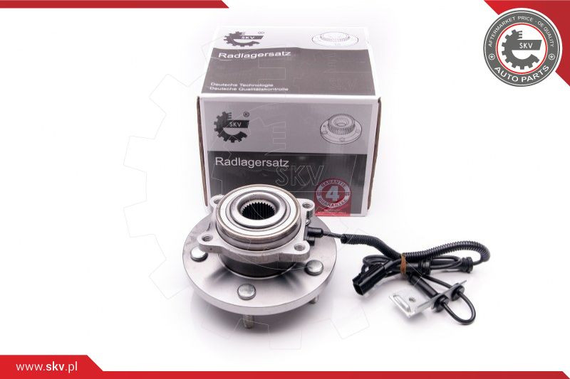 ESEN SKV Radlagersatz