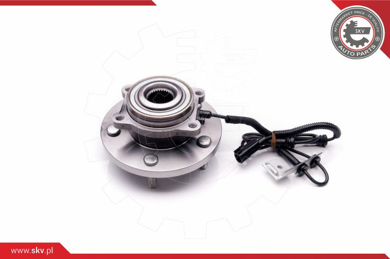 ESEN SKV Radlagersatz