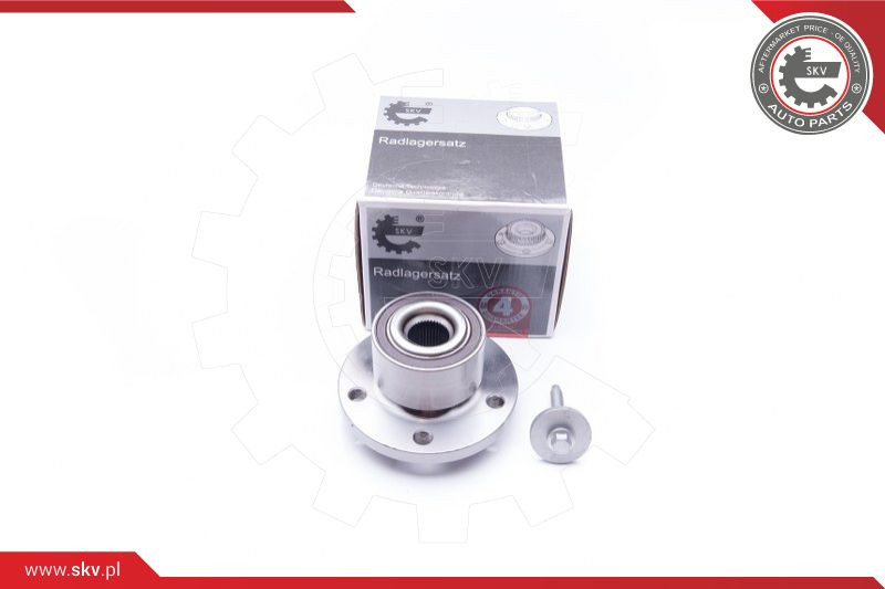 ESEN SKV Radlagersatz