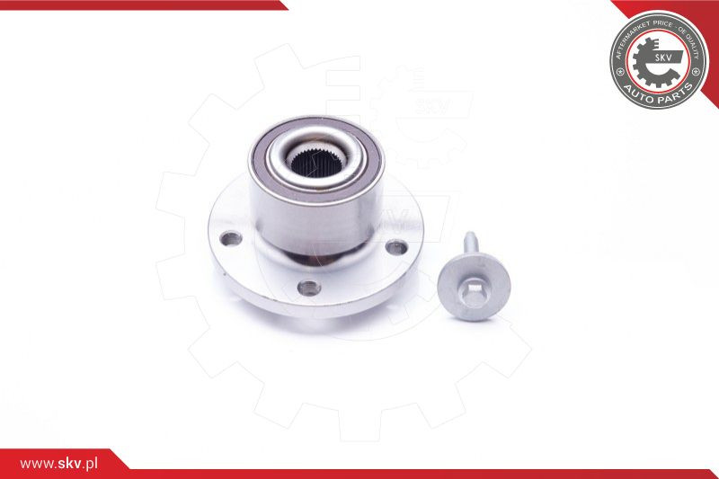 ESEN SKV Radlagersatz