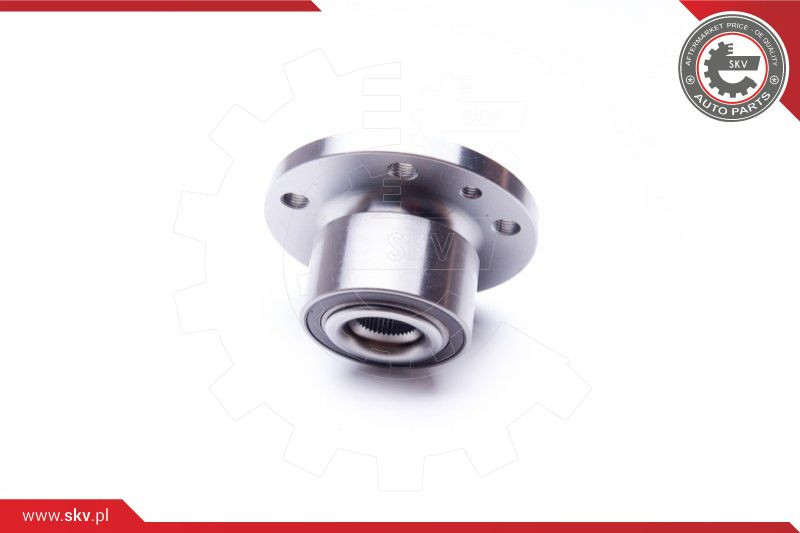 ESEN SKV Radlagersatz