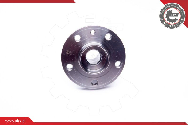 ESEN SKV Radlagersatz