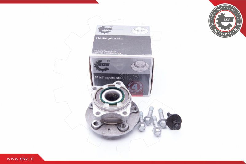ESEN SKV Radlagersatz