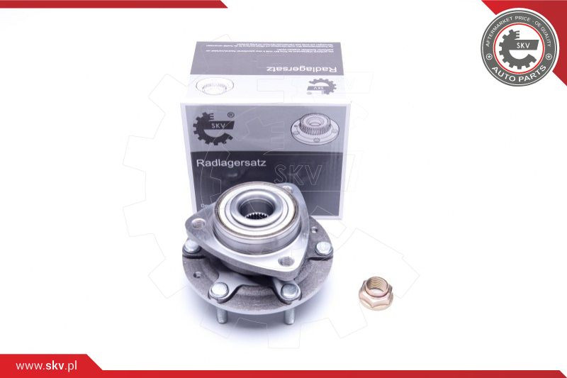 ESEN SKV Radlagersatz