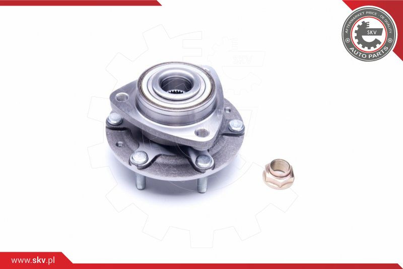 ESEN SKV Radlagersatz