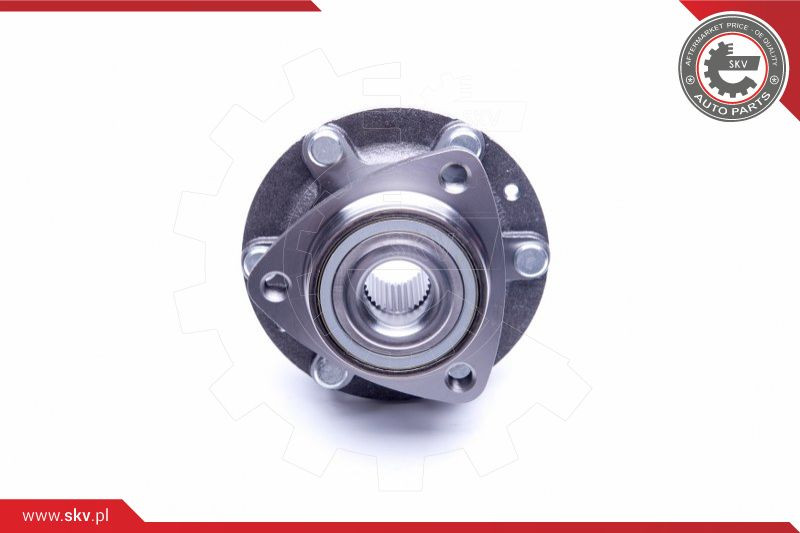 ESEN SKV Radlagersatz