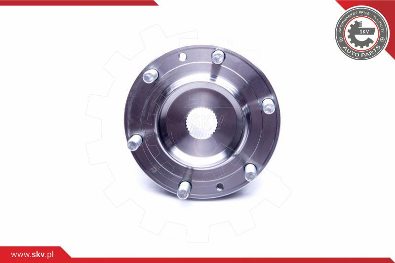 ESEN SKV Radlagersatz