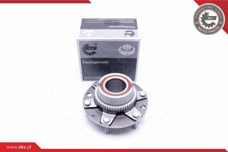 ESEN SKV Radlagersatz