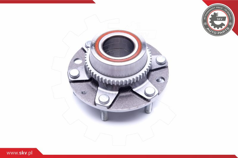 ESEN SKV Radlagersatz