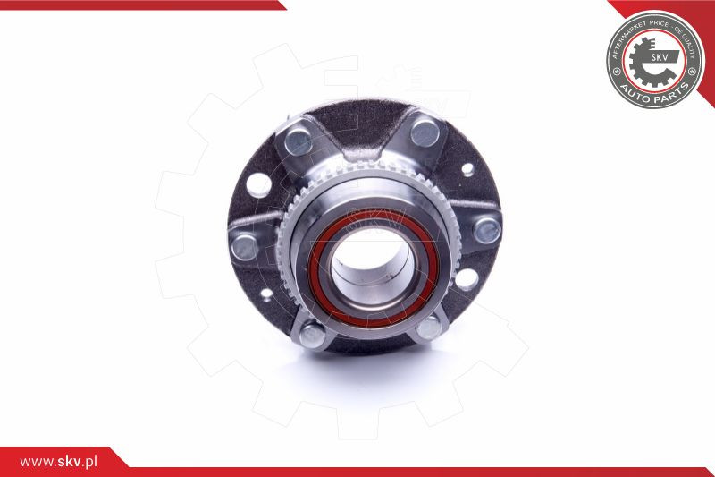 ESEN SKV Radlagersatz