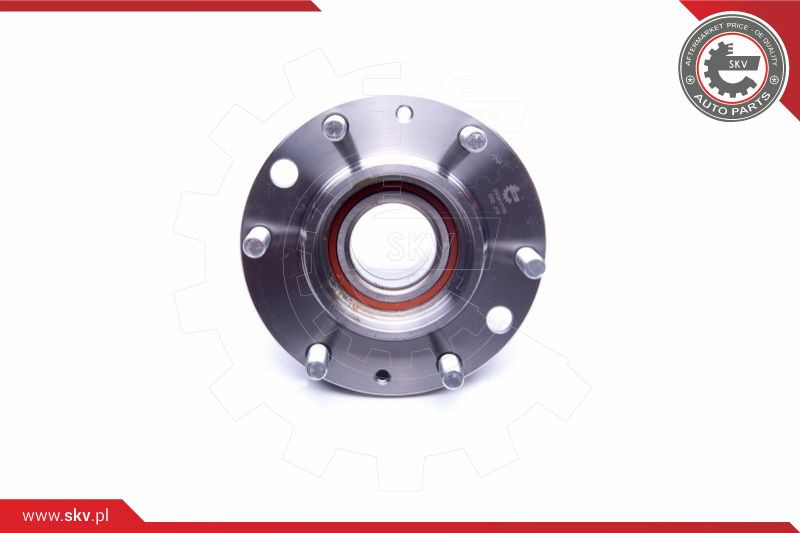 ESEN SKV Radlagersatz