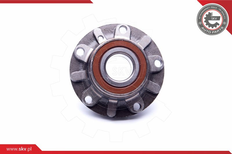 ESEN SKV Radlagersatz