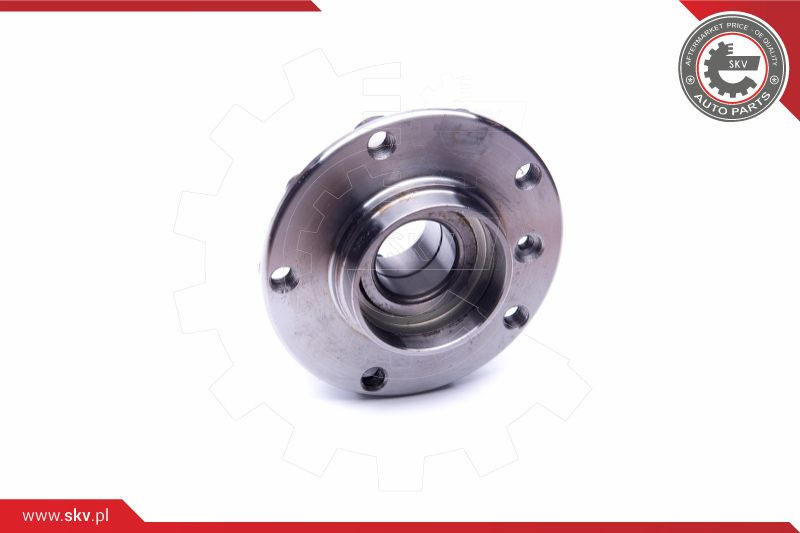 ESEN SKV Radlagersatz
