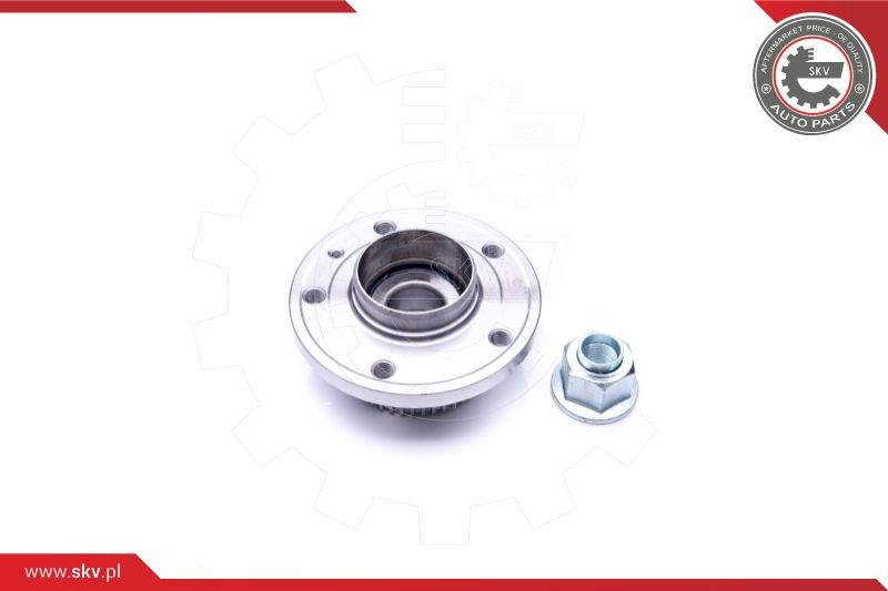 ESEN SKV Radlagersatz
