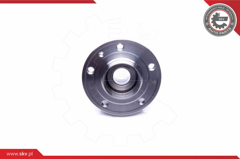 ESEN SKV Radlagersatz