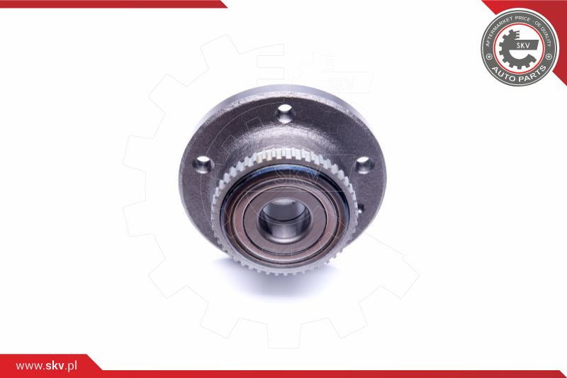 ESEN SKV Radlagersatz