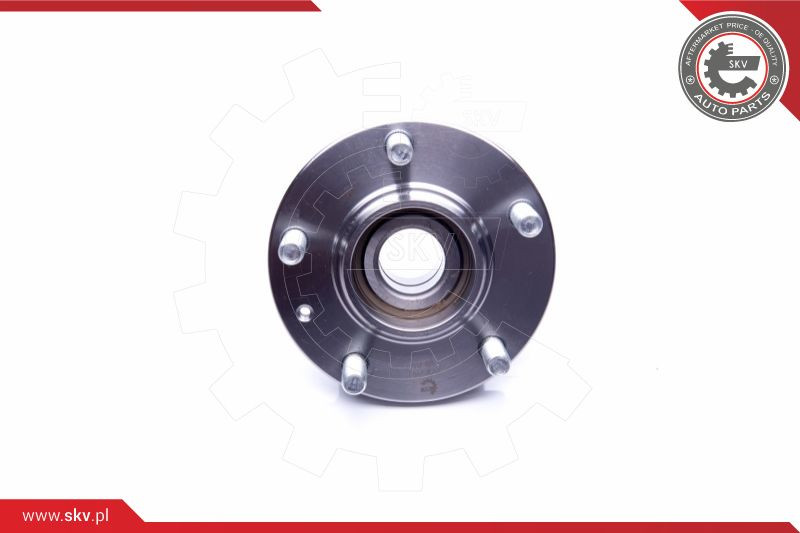 ESEN SKV Radlagersatz