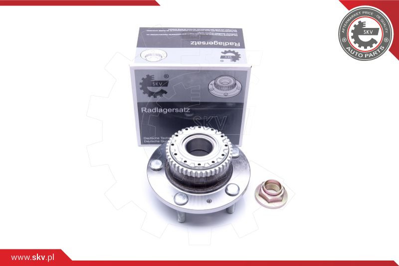 ESEN SKV Radlagersatz