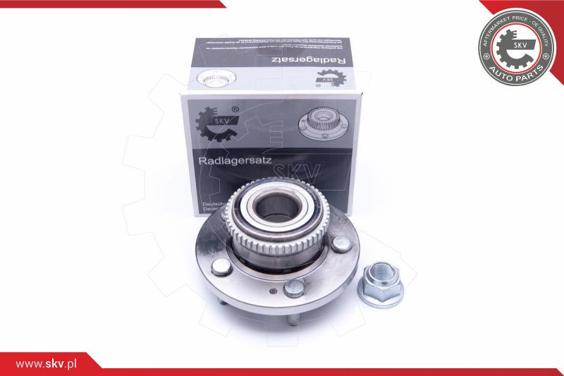 ESEN SKV Radlagersatz